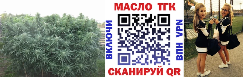 Купить Сасово Дистиллят ТГК THC oil