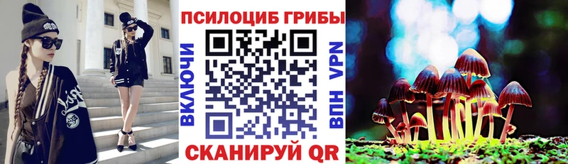 Галлюциногенные грибы мицелий  Купить  Сасово 